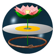 Mysteries of the Sacred Universe Video
